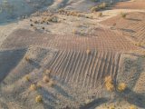 KONYA SELÇUKLU SATILIK ARSA 7100 m2   İÇERİRİNDE 500 ADET ÜZÜM BAĞI BULUNMAKTADIR 